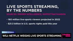 Netflix Reportedly Explores Investing in Sports Leagues, Bidding on Streaming Rights News Clip