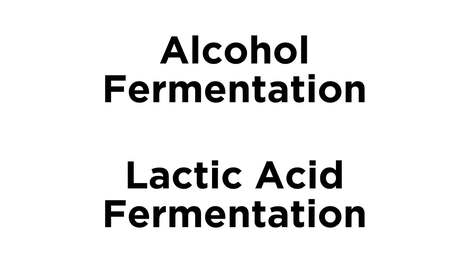 Anaerobic Respiration and Fermentation