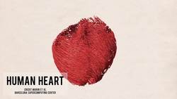 The Most Beautiful Science of 2012 Instructional Video