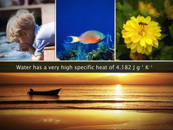 Water Instructional Video