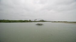CLEAN : Estuary dumps rubbish onto beaches of Ecuadorean island News Clip
