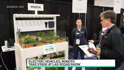 EVs and Robots to Dominate CES News Clip