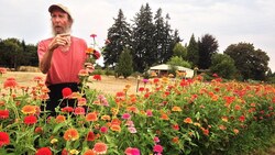 Alan Kapuler: Reflections from an Organic Seed Breeder and Pioneer in Organic Farming Instructional Video