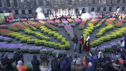 National Tulip Day in Amsterdam Instructional Video