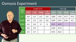 Analyzing Osmosis Experiment Results and Estimating Sugar Concentration in a Potato Cell Instructional Video