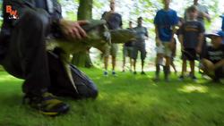 SNAPPER HOOKED...Turtle Rescue Mission! Instructional Video