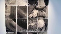 Kelly Wolf shares the story behind 'Face among the crowd' News Clip