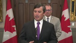 Expelling Chinese diplomat 'shouldn't have taken this long': Conservative MP News Clip