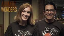 Bowling For Animals Instructional Video