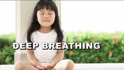 Social Emotional Learning My Well Being Understanding and Managing My Emotions V1-0002 Instructional Video