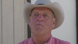 Bison rounded up to check health Instructional Video