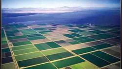 Science Now Episode 6 Instructional Video