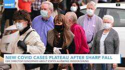 New COVID-19 Cases Plateau After Sharp Drop News Clip