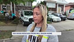 Deadly discovery leads to rescue of 100+ dogs in Brooklyn News Clip