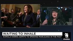 Sen. Kamala Harris' Acknowledgement of Pot Use Is 'Huge Step': Cannabis Advocate News Clip