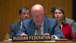 UN Security Council rejects Russian resolution calling for ceasefire News Clip