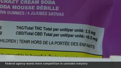 Push to loosen rules on Canadian cannabis sales, THC limits News Clip