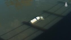 Underwater treasure, Meet Gordan Davis, golf ball diver Instructional Video