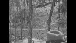 During Great Depression unemployed men work on CWA project creating Ravine State Gardens in Palatka, FL News Clip