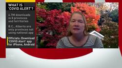 Just 5% of Ontario cases used COVID Alert app News Clip