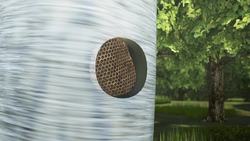 Hated giant ‘murder’ hornet spotted alive in the U.S. Instructional Video