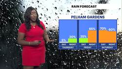Tranquil weather continues throughout the week in the Bronx Instructional Video