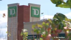 TD scam victim out $10K questions why Anti-Scam Coalition doesn't address refunds News Clip