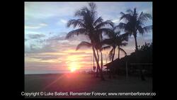 How to Use Your Phone as a Camera Instructional Video