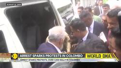Ex-Sri Lanka President Ranil Wickremesinghe Granted Bail | WION News Clip