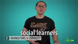 Curious Orangutans and 4 Other Animals a Bit Different in Captivity Instructional Video