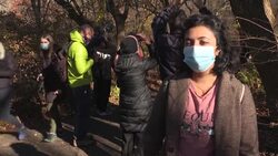 CLEAN : NYC's new pandemic hobby: bird watching in Central Park News Clip