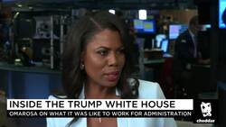 Omarosa: Trump Will 'Lose His Mind' If Dems Win Big in November News Clip