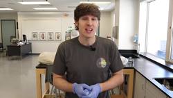 Understanding the Endocrine System Instructional Video