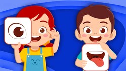 Explore The 5 Senses! Instructional Video