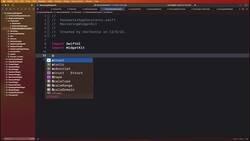 Mastering WidgetKit in SwiftUI 4, iOS 16 with Dynamic Island - Pedometer App Constants Instructional Video