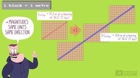 Physics Kinematics: Motion in a Straight Line - Vector Multiplication and Division