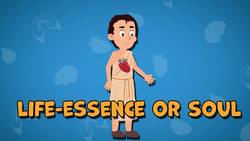 Five Facts - Circulatory System Instructional Video