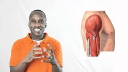 072 The Four Types Of Cellular Adaptations Instructional Video