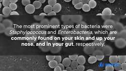 How Do You Get Rid of Bacteria in Space Stations Instructional Video