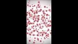 The scientist examined the skin from the forehead under a microscope Instructional Video