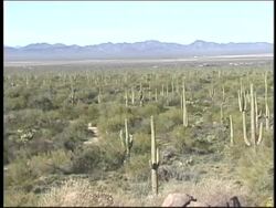 Exploring the Surprising Life and Challenges in Deserts Instructional Video