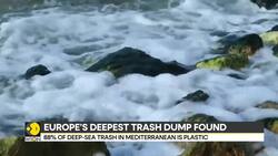Mediterranean sea deepest point now a plastic dump, plastic waste reaches sea's depths News Clip