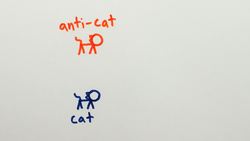 Hardy's Paradox | Quantum Double Double Slit Experiment Instructional Video