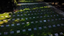 Old Cemetery in a park (aerial) Stock Footage