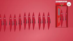 Are Giant Insects Larger Than Humans Possible? Instructional Video