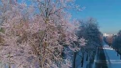 The aerial drone view along the street with the park, trees covered by frost, residential and office buildings with orbit camera motion. Stock Footage