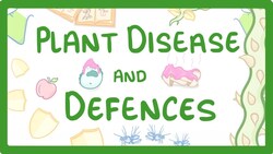 GCSE Biology - Plant Disease and Defences #46 Instructional Video