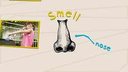 Five Senses: Part 1 Instructional Video