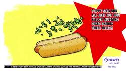 Why Is Chicago Against Ketchup On Hot Dogs? News Clip