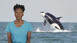 Science Kids: Discovering the Wonders of Whales Instructional Video